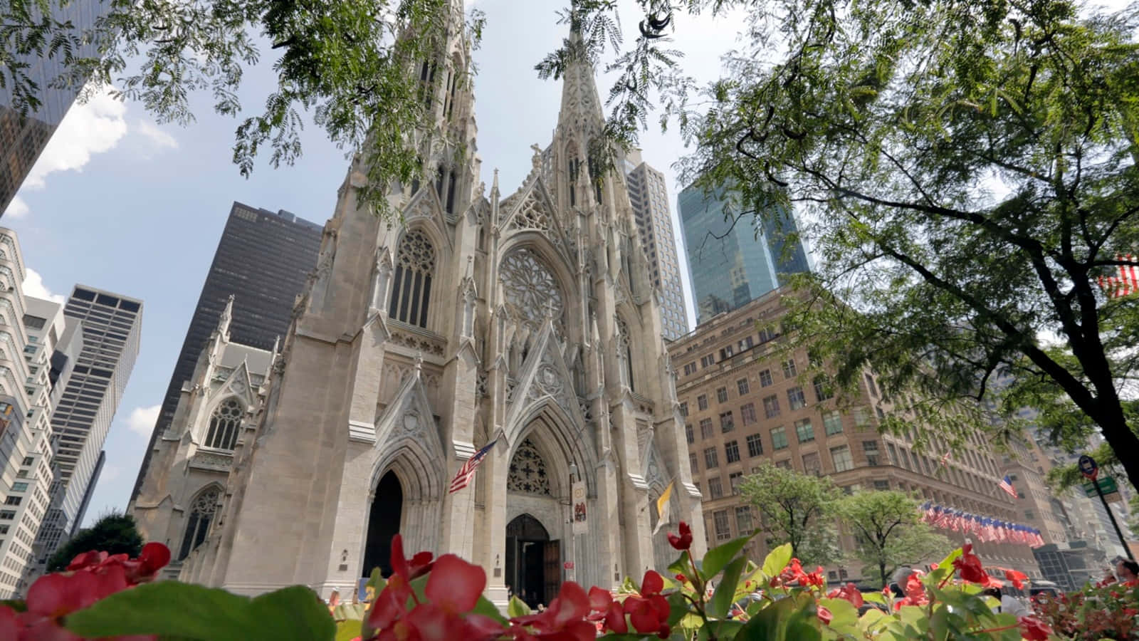 Saint Patrick's Cathedral Among Flowers