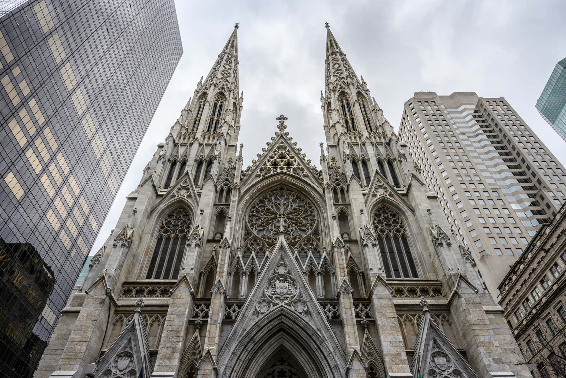 Saint Patrick's Cathedral Looking Up Background