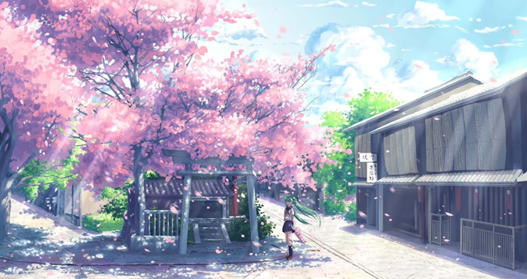 Sakura Anime Blossom Trees Scenery Digital Art