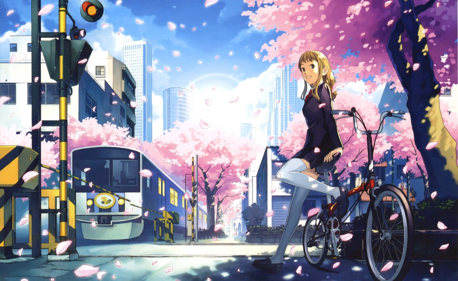 Sakura Blossom Commute Anime Scene Background
