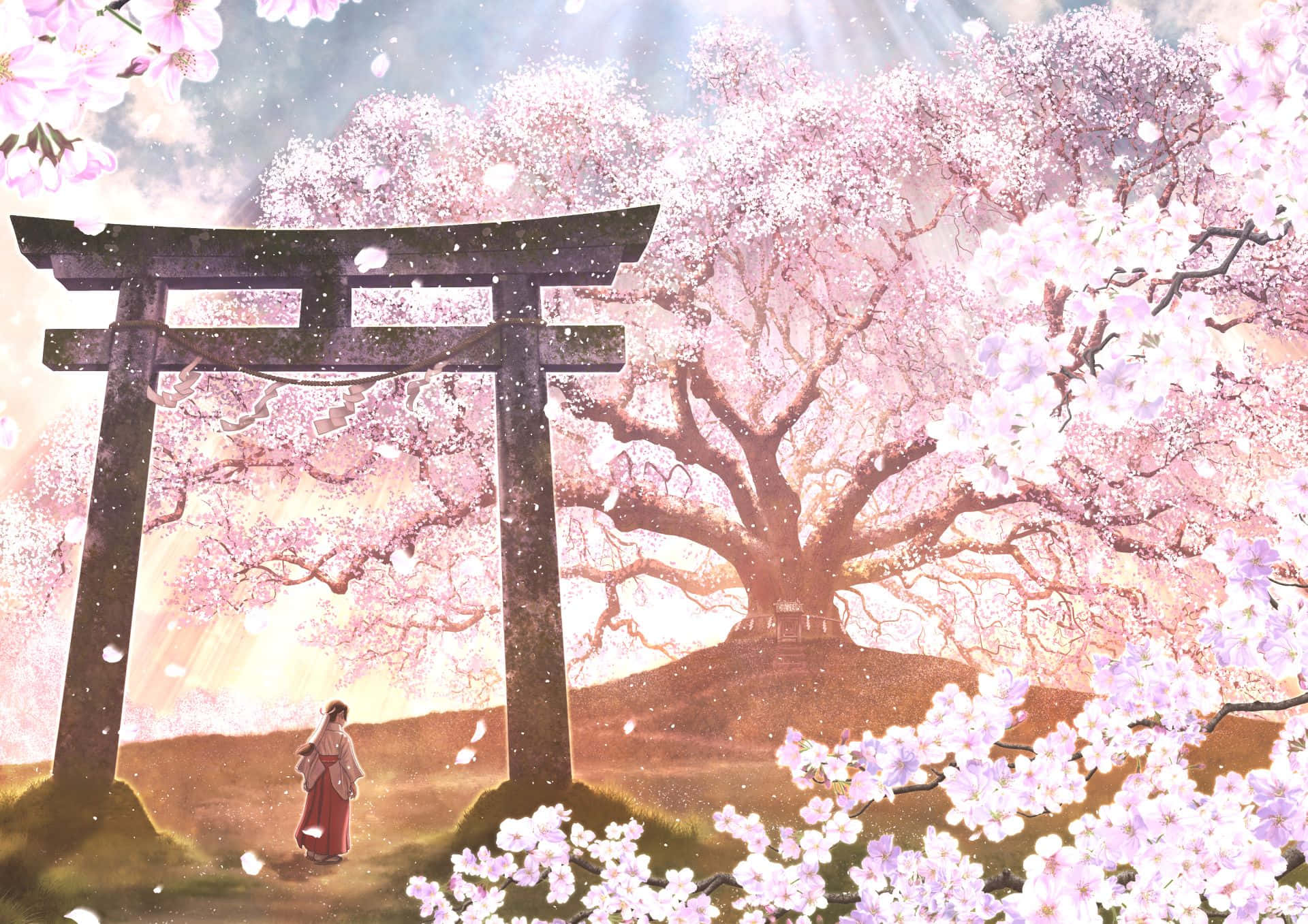 Sakura Blossom Shrine Anime Art Background