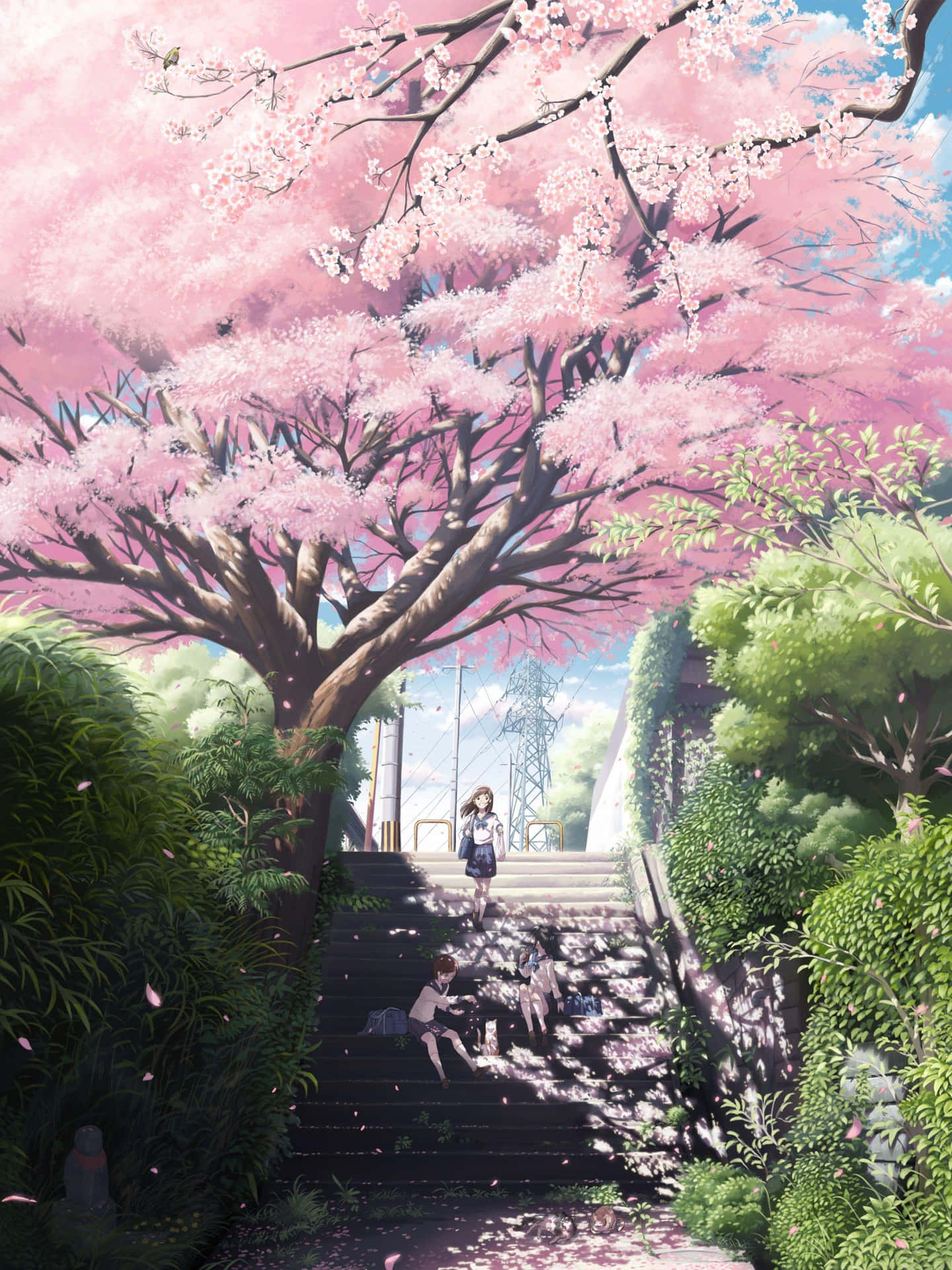 Sakura Blossom Stairway Background