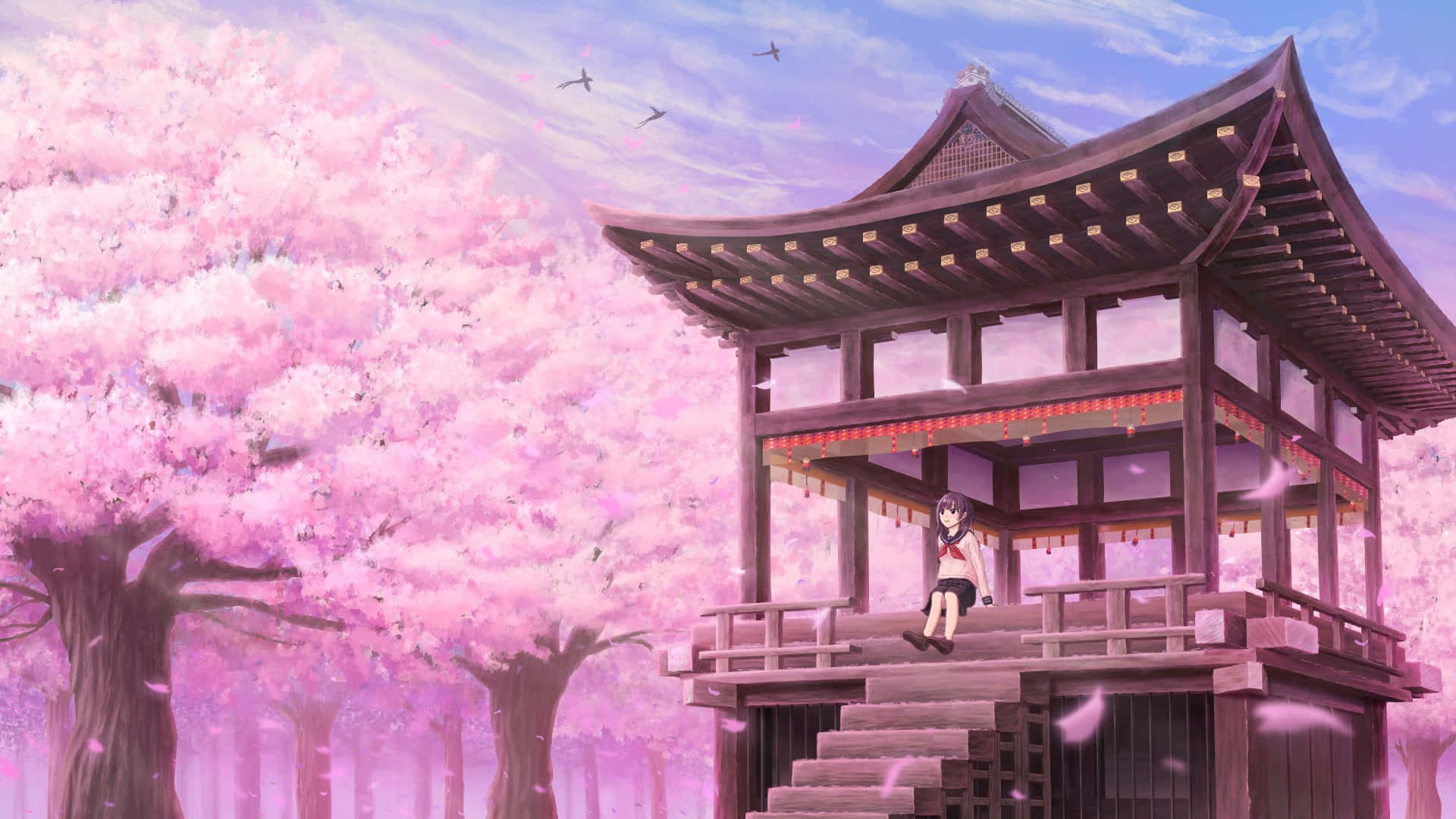 Sakura Blossom Temple Scenery Background