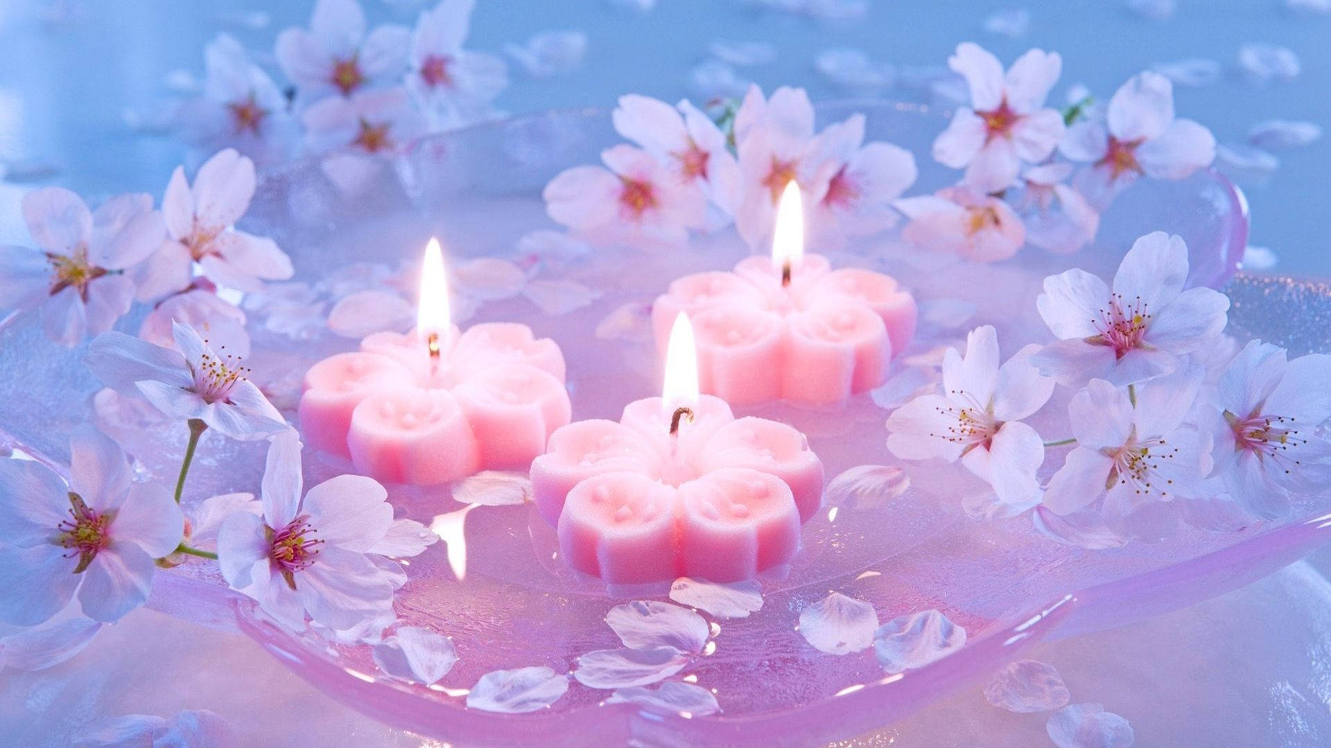 Sakura Candles Background