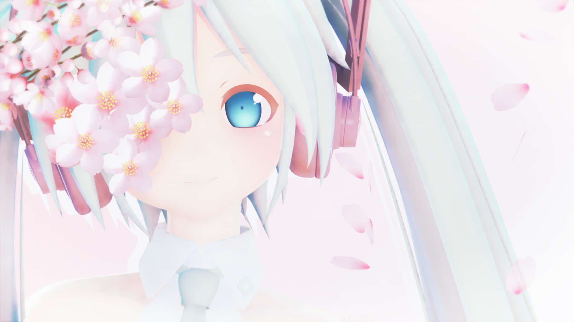 Sakura Miku - A Beautiful Recreation Of A Beloved Virtual Idol Background