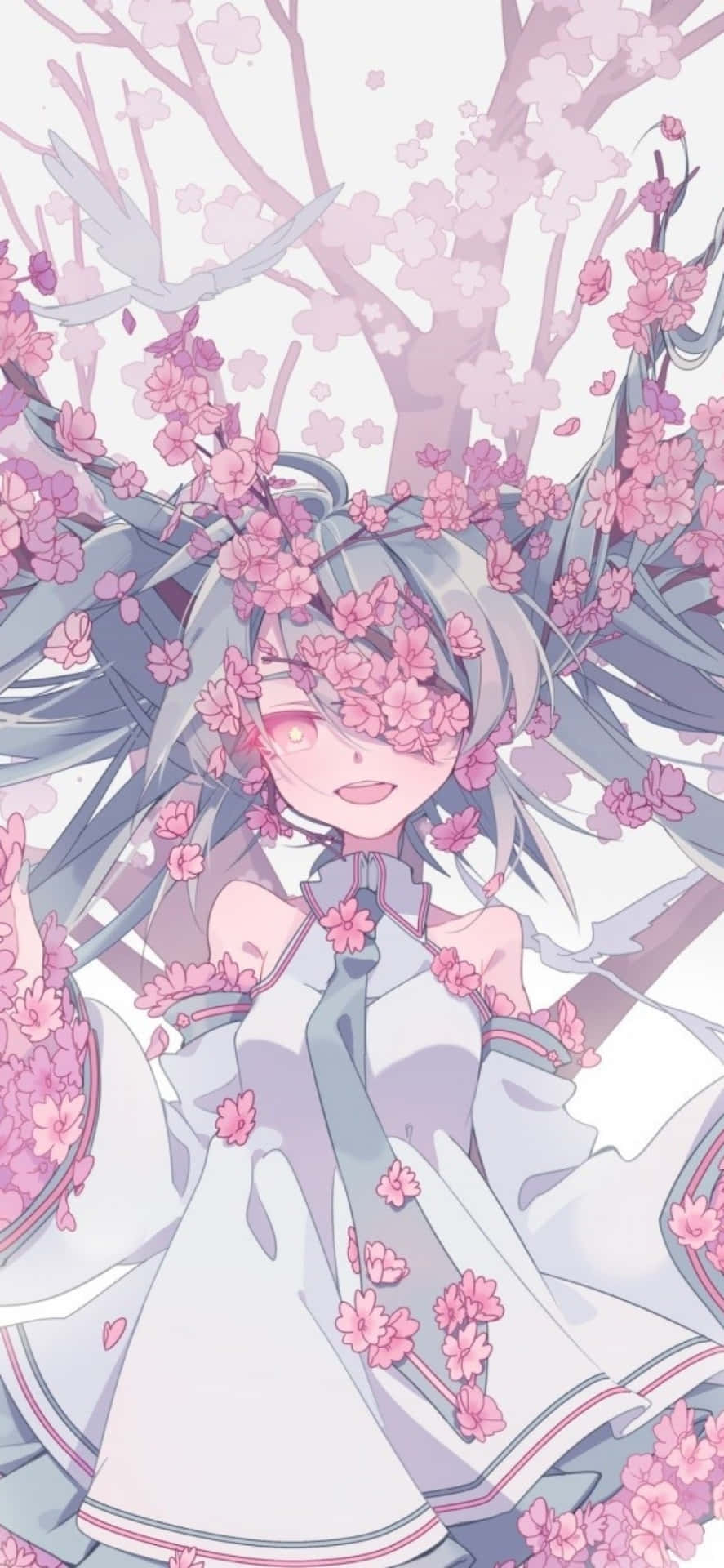 Sakura Miku Embracing The Cherry Blossom Season Background