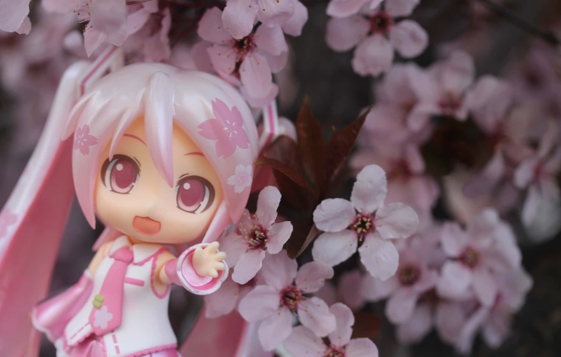 Sakura Miku Toy Beside Flowers Background