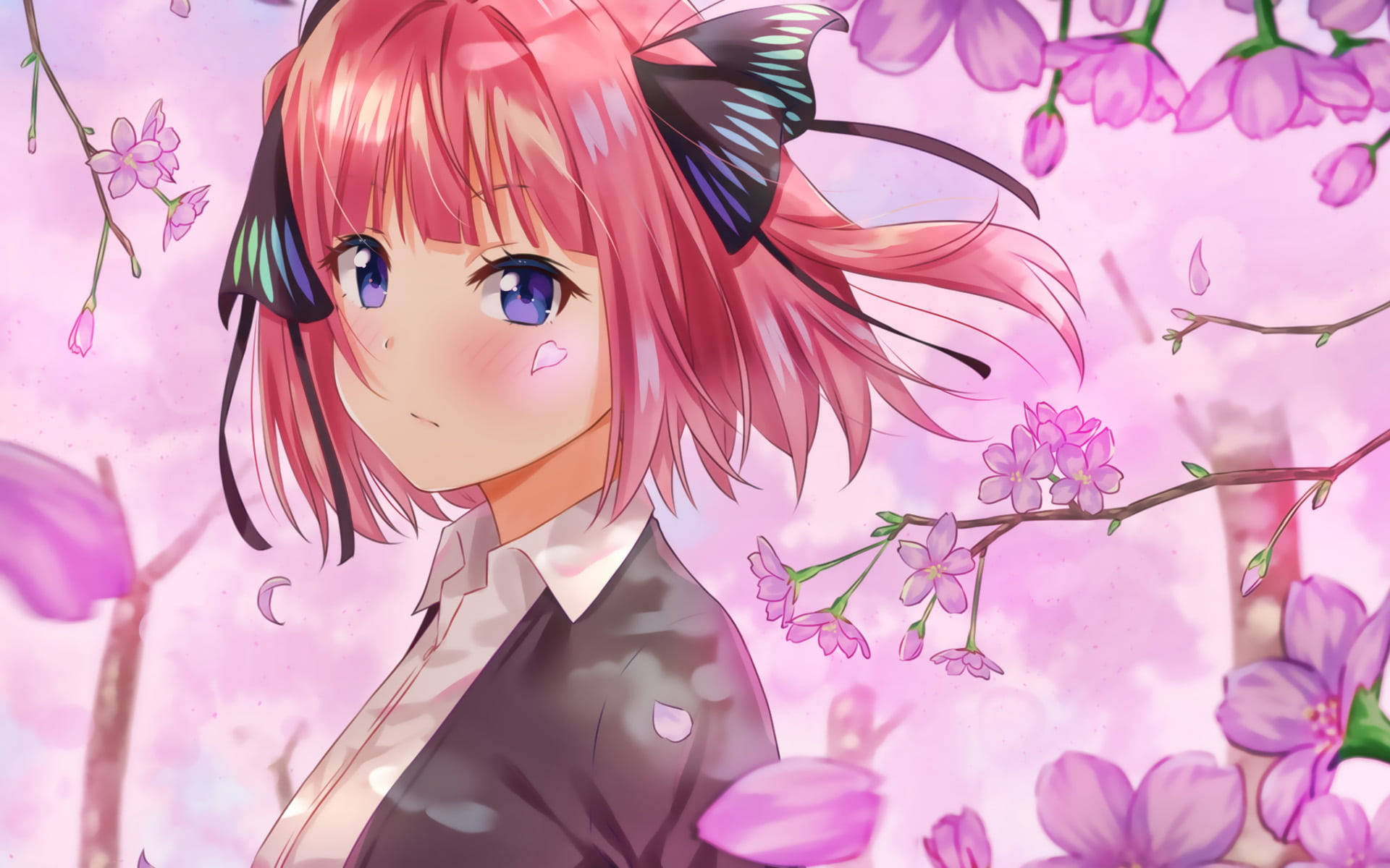 Sakura Petals Nino Nakano Background
