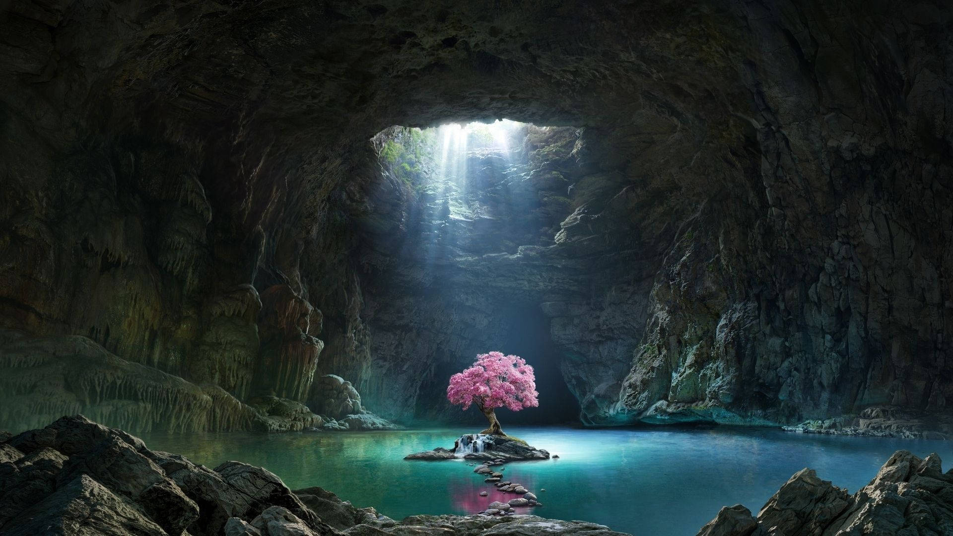 Sakura Tree In The Cave Background