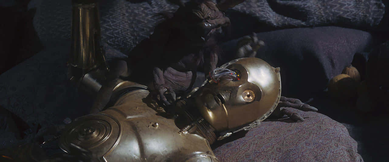 Salacious And C3po