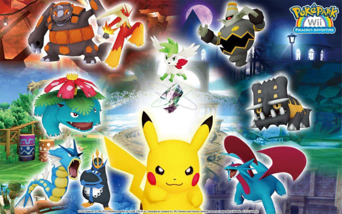 Salamence Pokemon Wii Background
