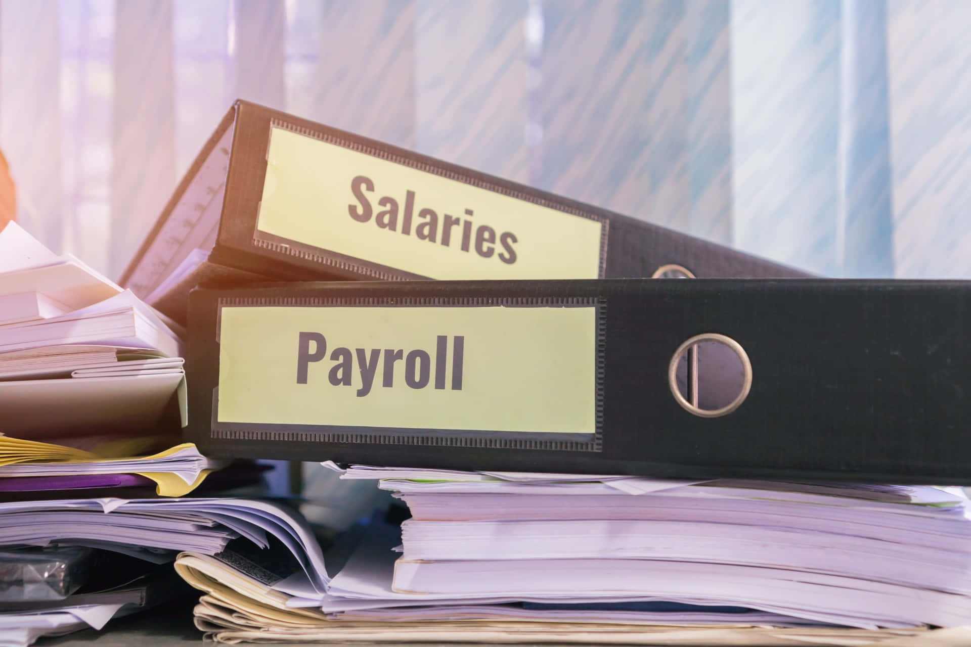 Salaries Subject For Payroll