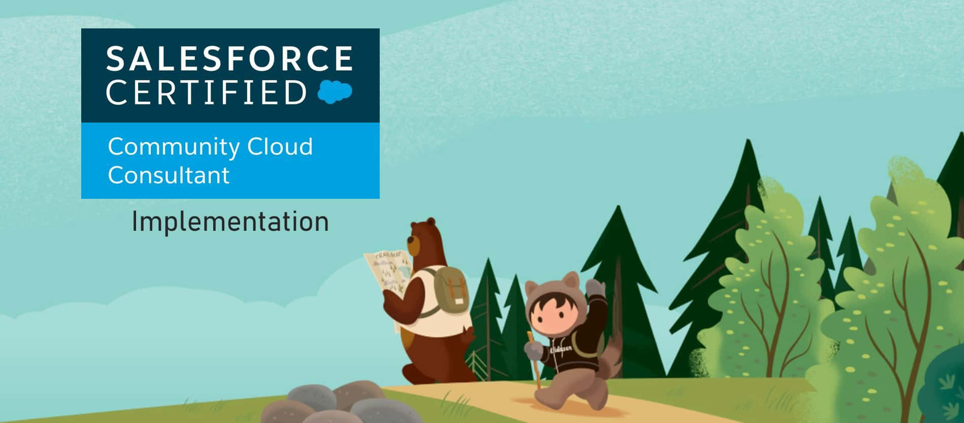 Salesforce Certification Background