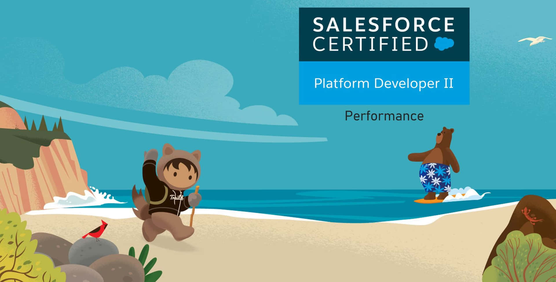 Salesforce Certified Background