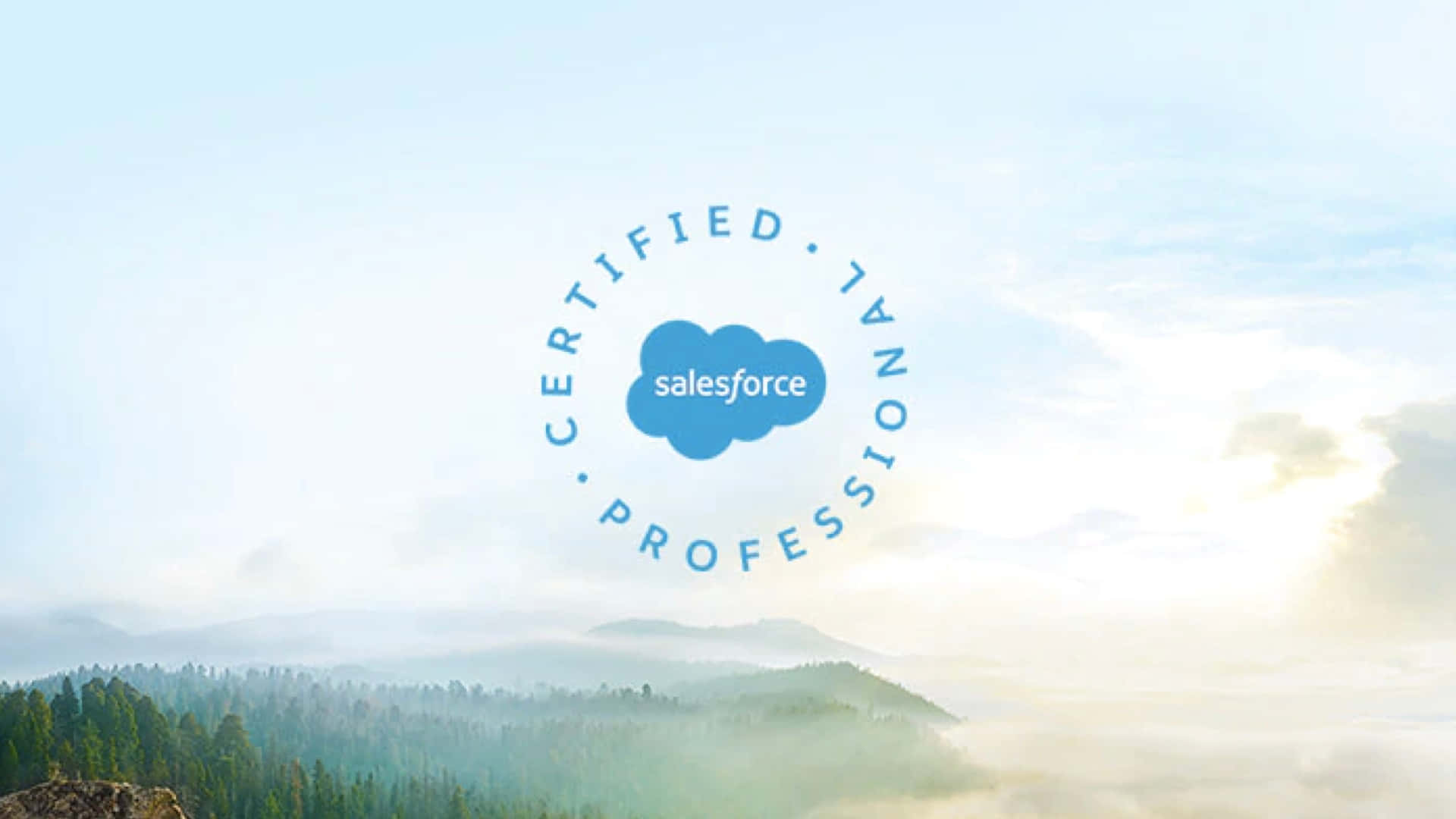 Salesforce Certified Background