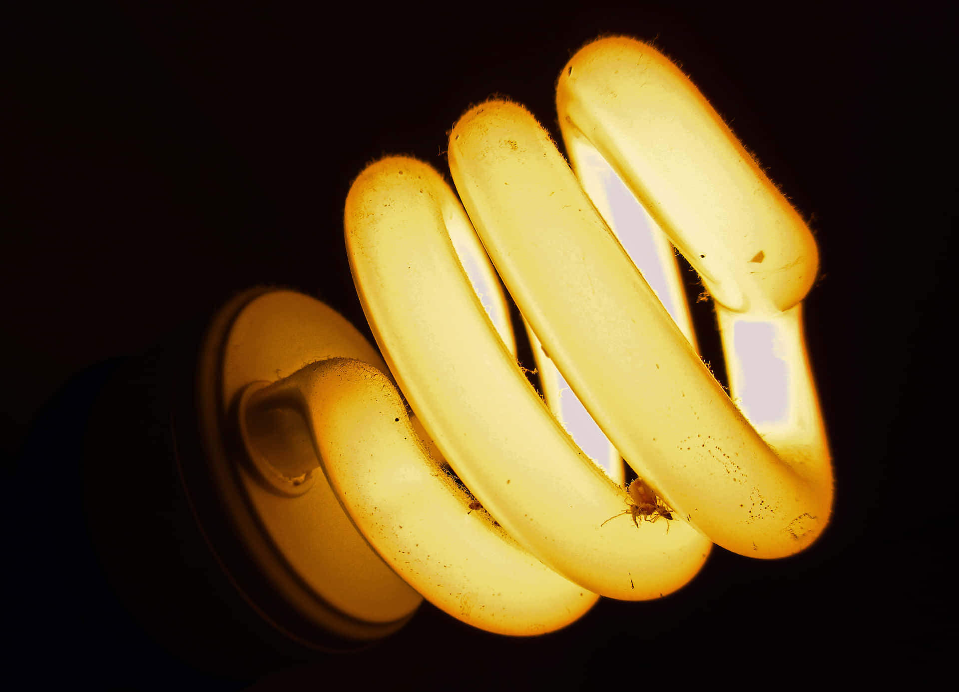 Salient Design Light Bulb