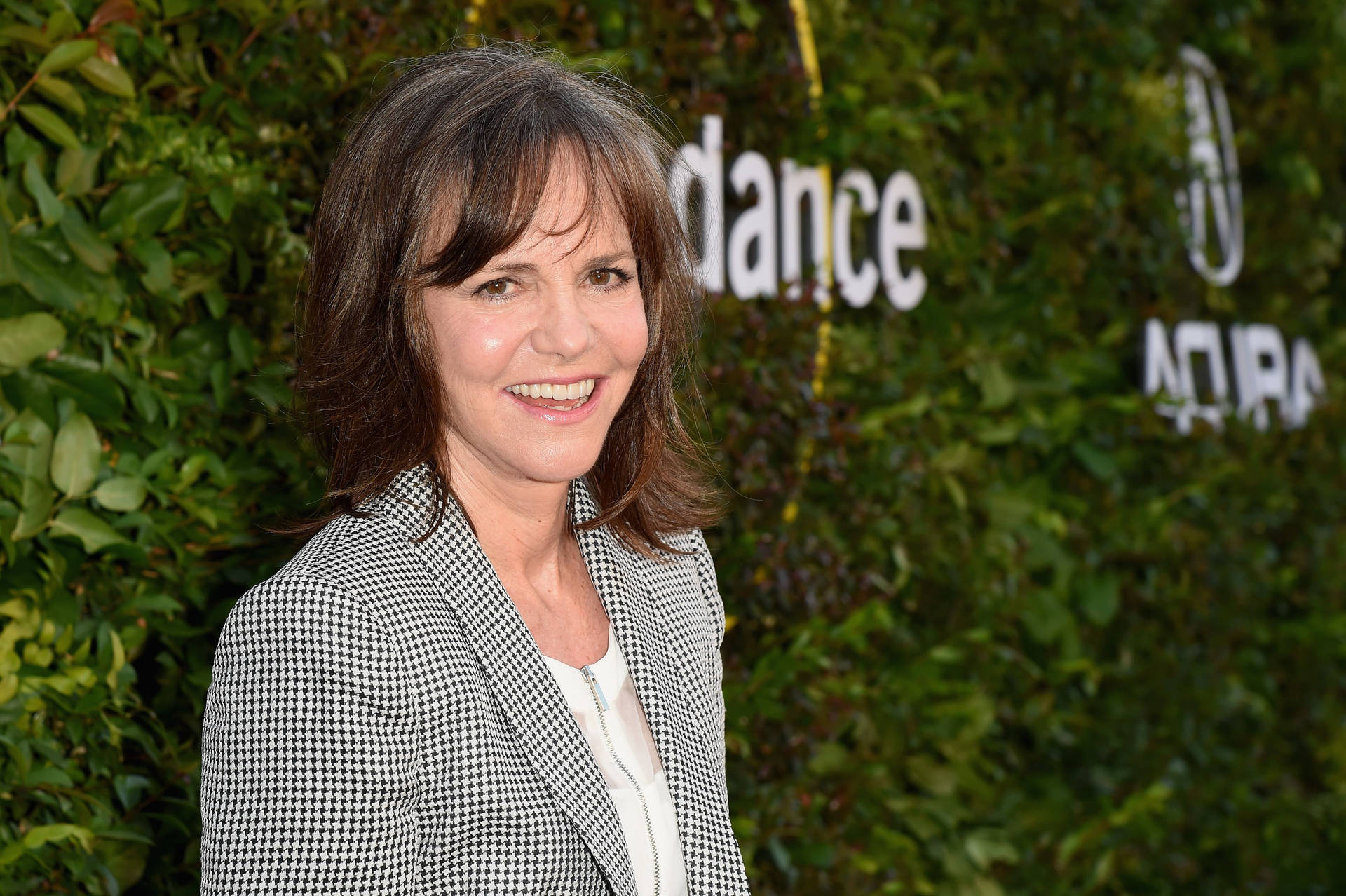 Sally Field In A Gray Plaid Blazer Background