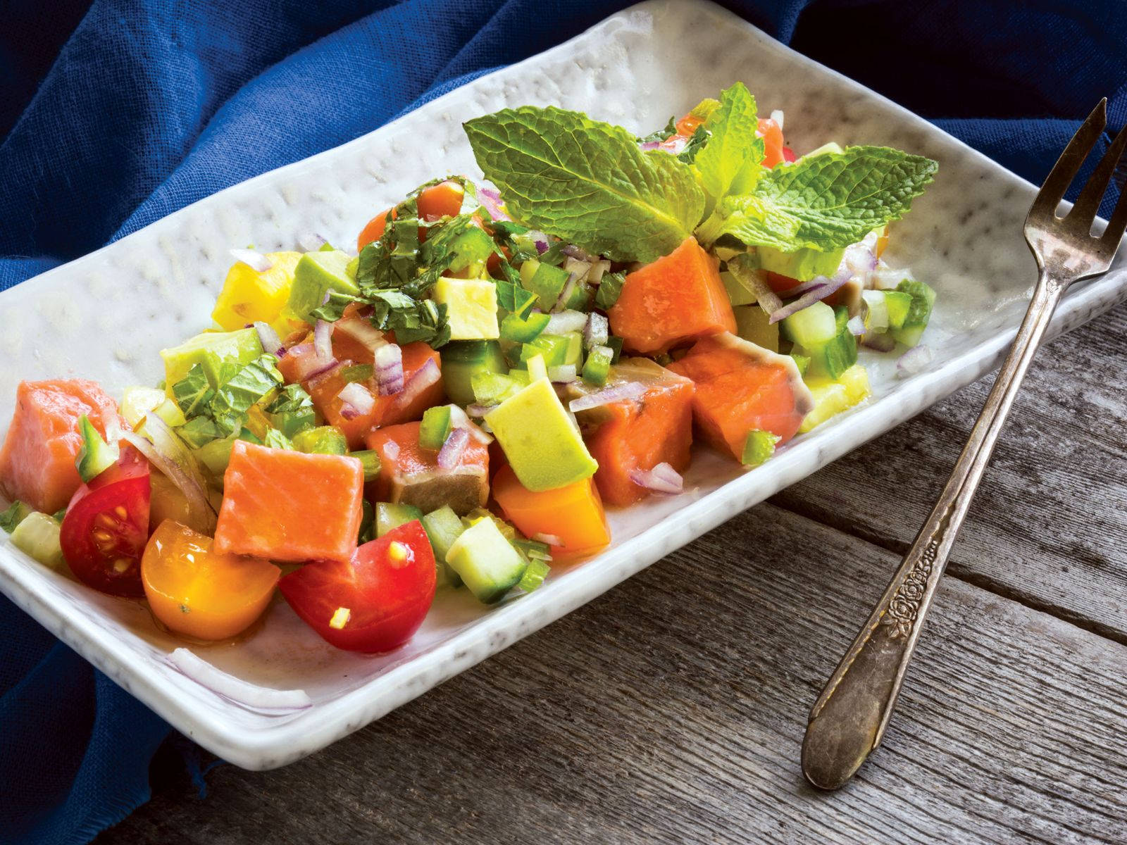 Salmon Ceviche On Rectangle Platter Background