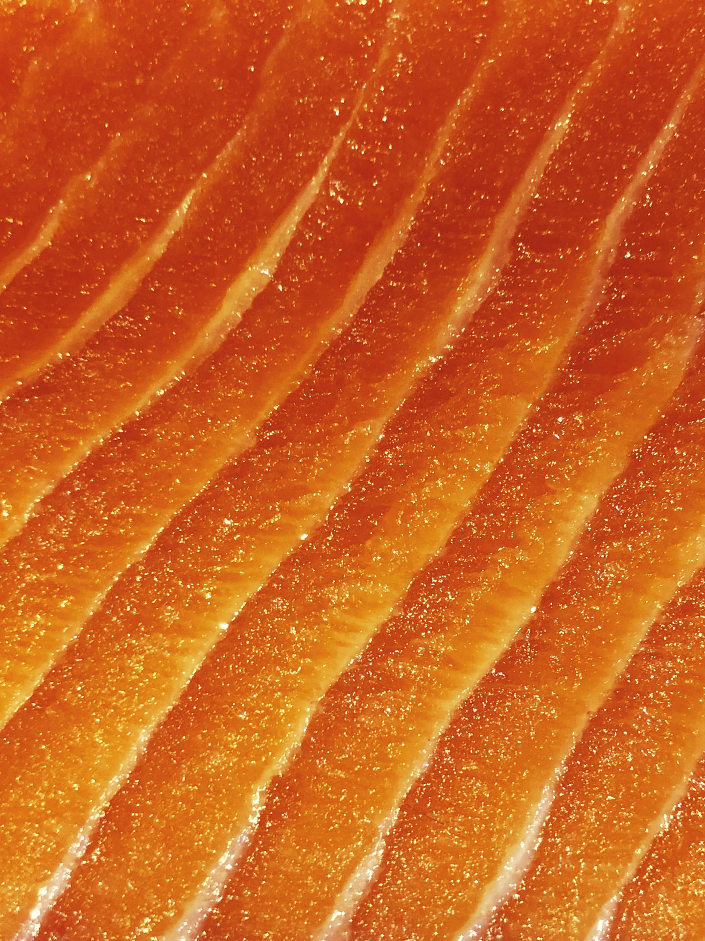 Salmon Raw Close-up Shot