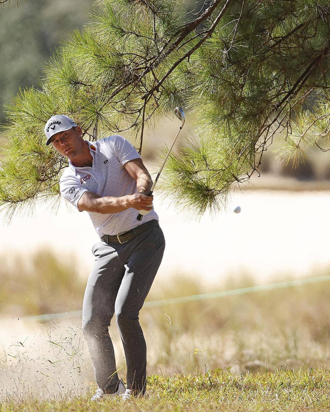 Sam Burns Golfing Under A Tree