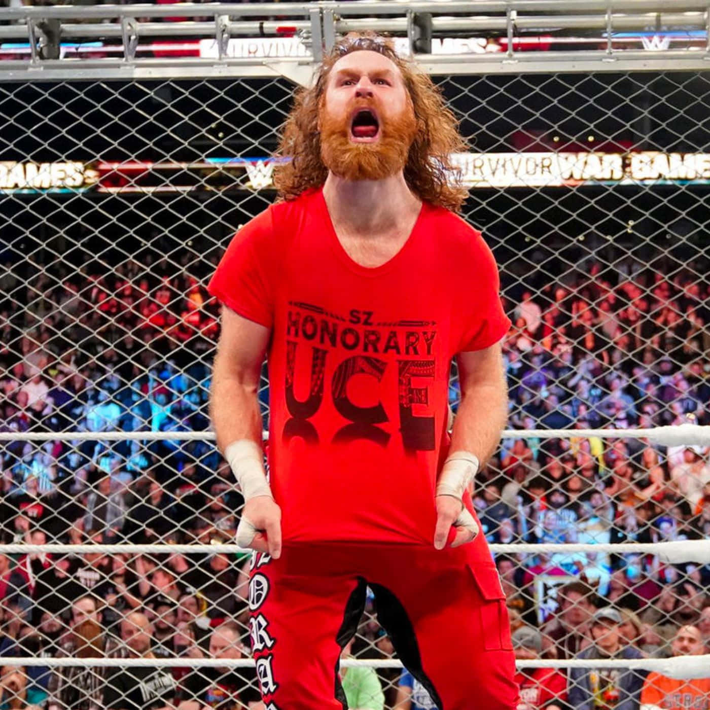 Sami Zayn In The Ring Background