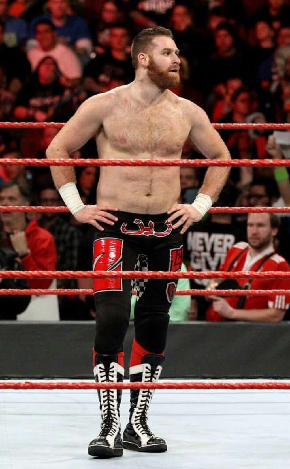 Sami_ Zayn_ Wrestling_ Ring_ Stance