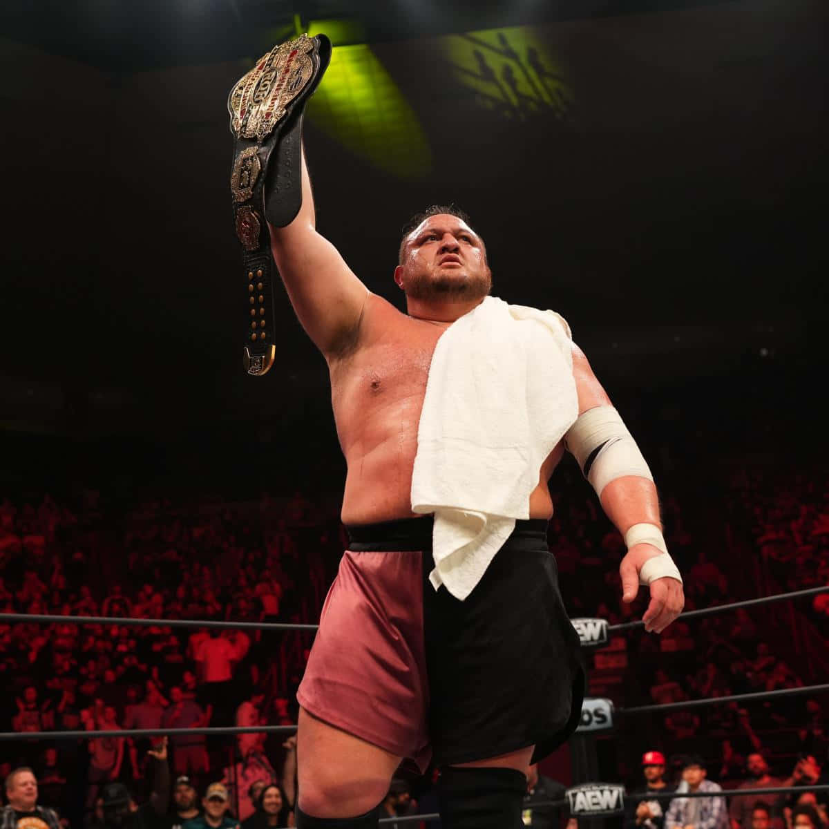 Samoa Joe Ring Of Honor World Champion Belt