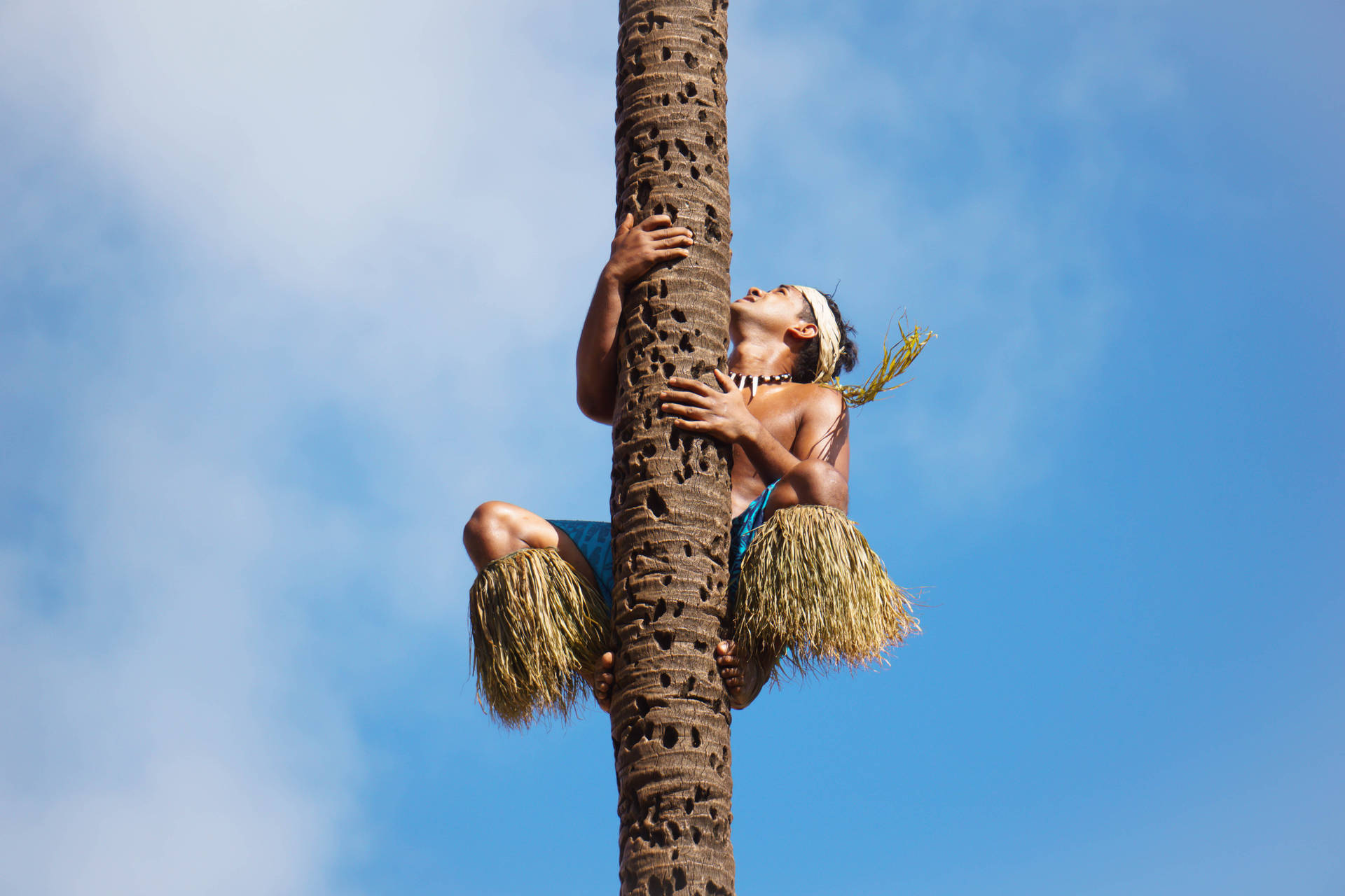 Samoa Native On Coconut Tree Background
