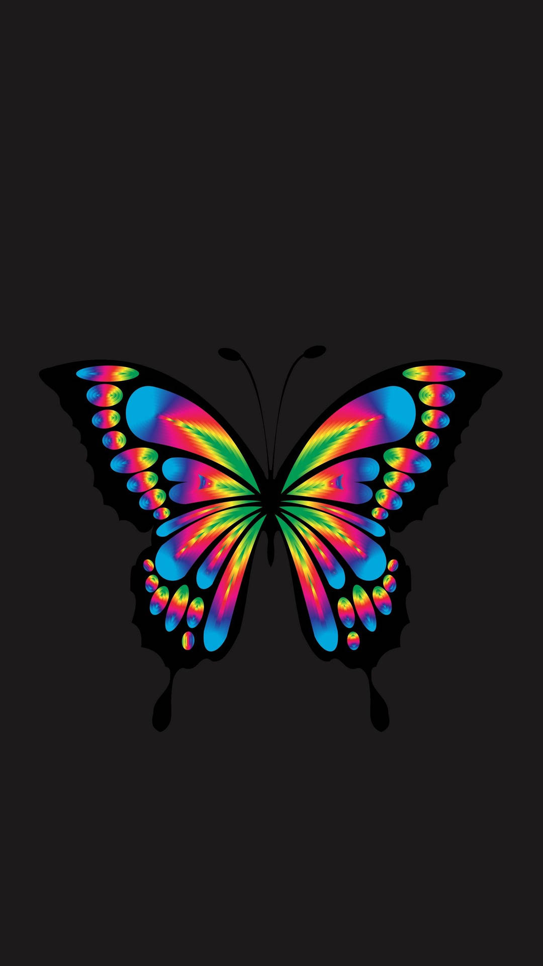 Samsung Galaxy 4k Colorful Butterfly Background