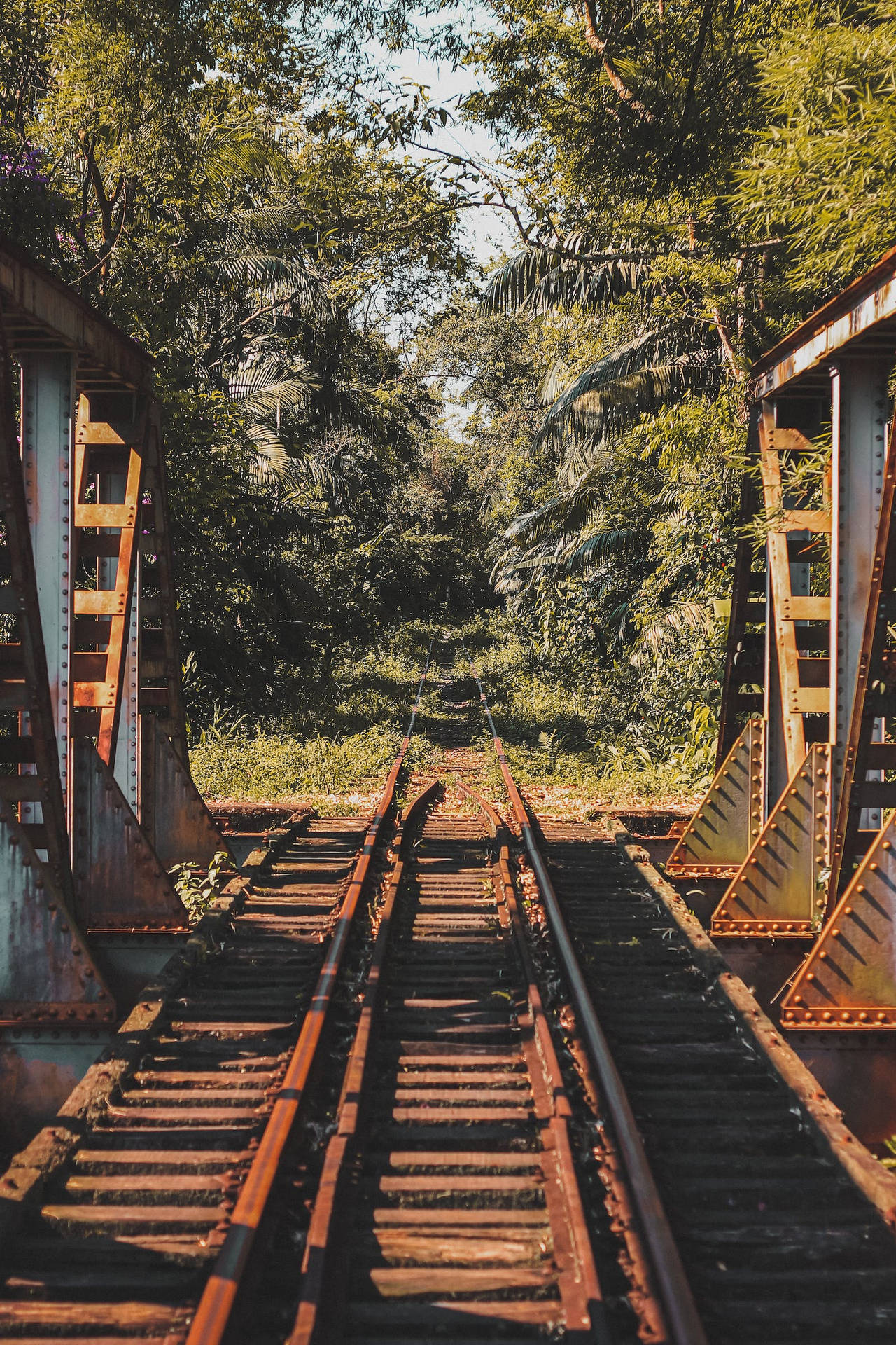 Samsung Galaxy 4k Train Tracks Forest Trees Background