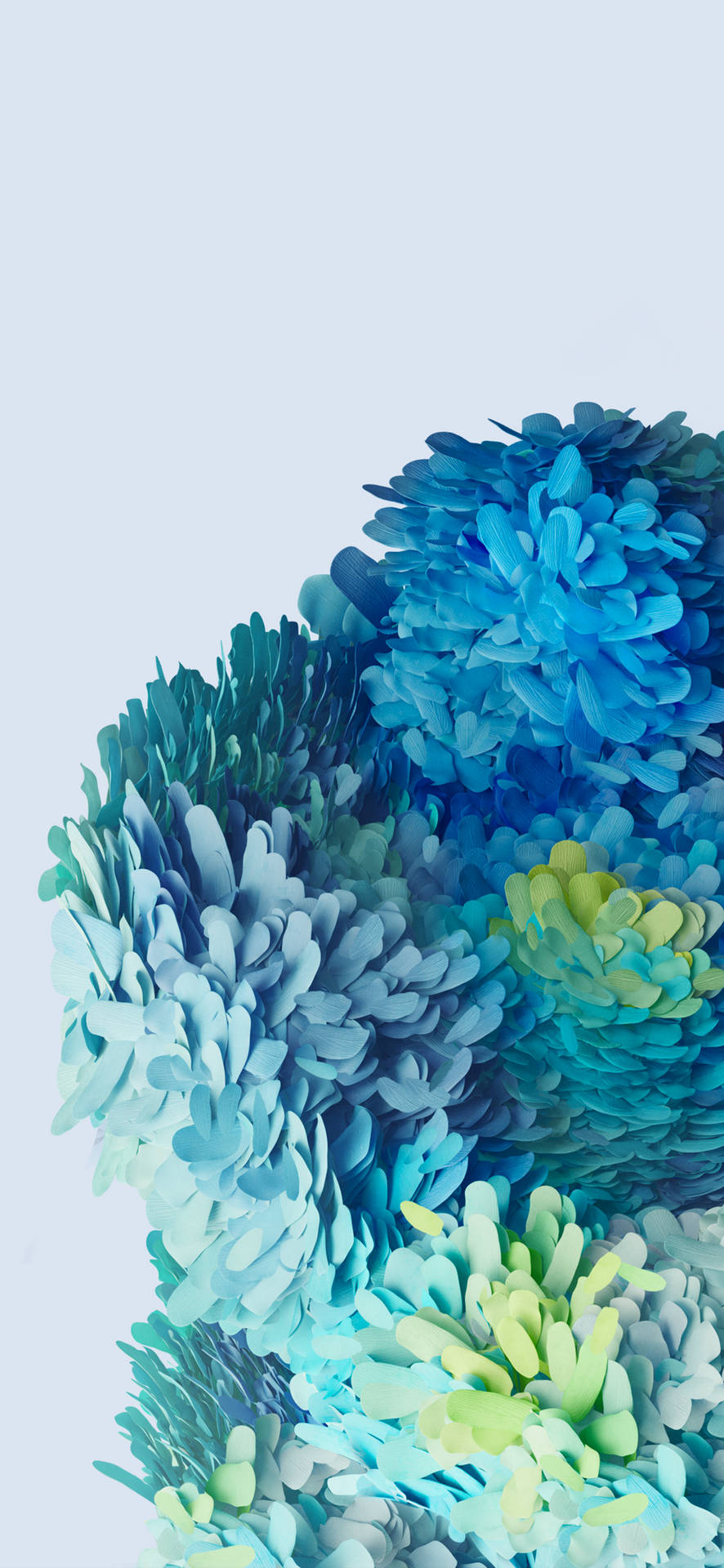 Samsung Galaxy S20 Blue Flowers Background