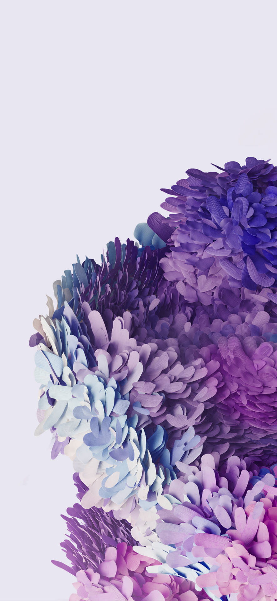 Samsung Galaxy S20 Purple Flowers Background