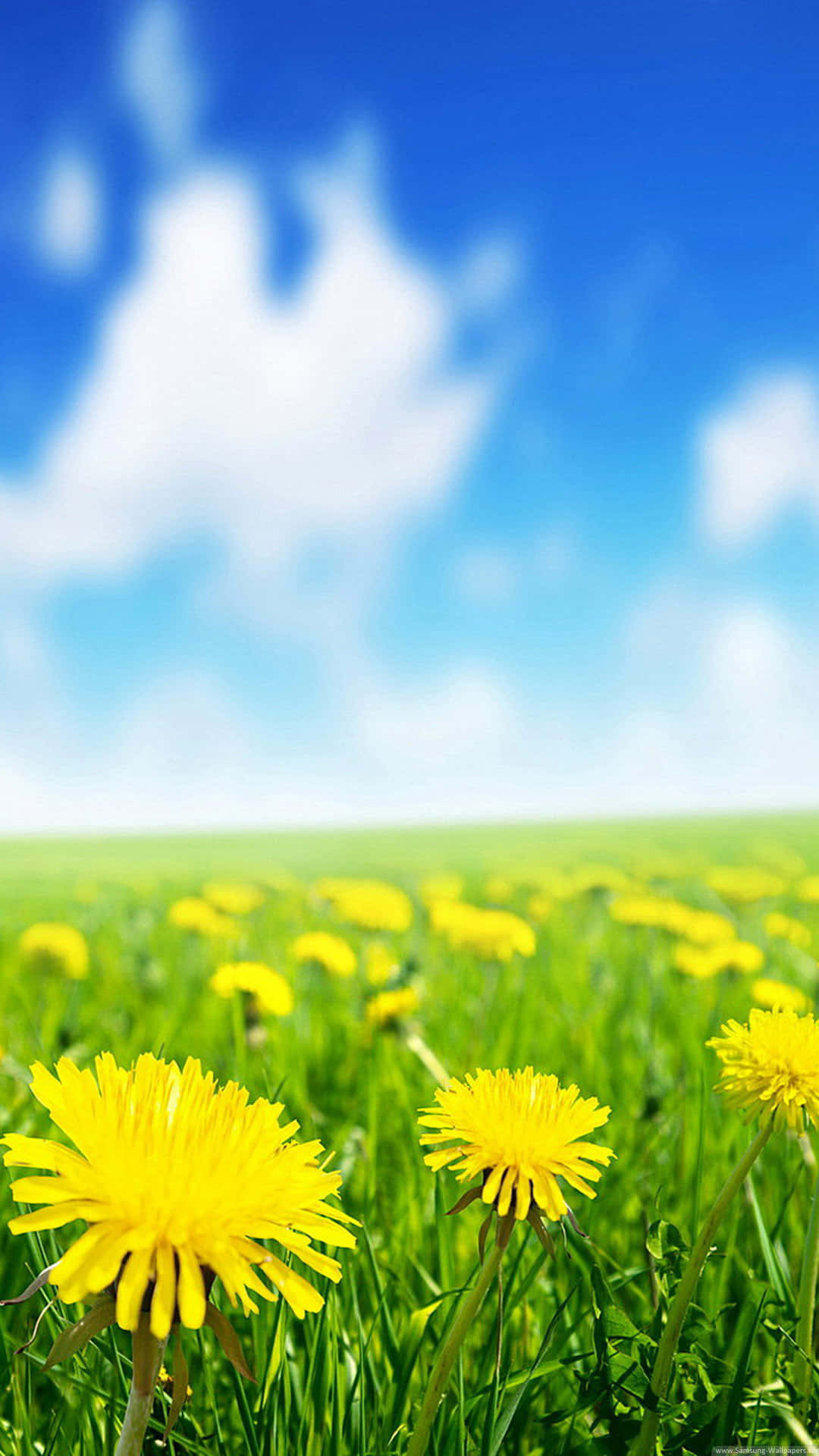 Samsung Galaxy S3: Combines Power And Design In A Sleek Device Background