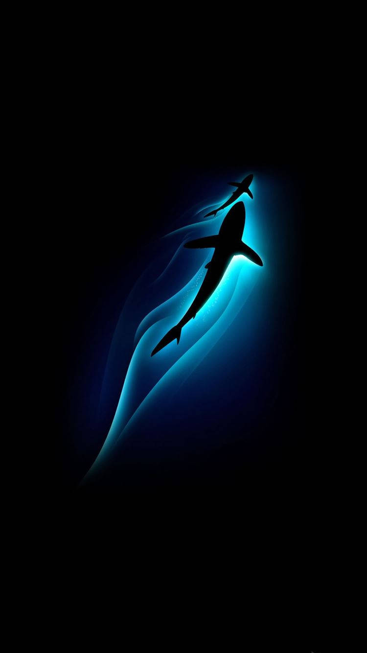 Samsung Galaxy S6 Edge Shark Art Background