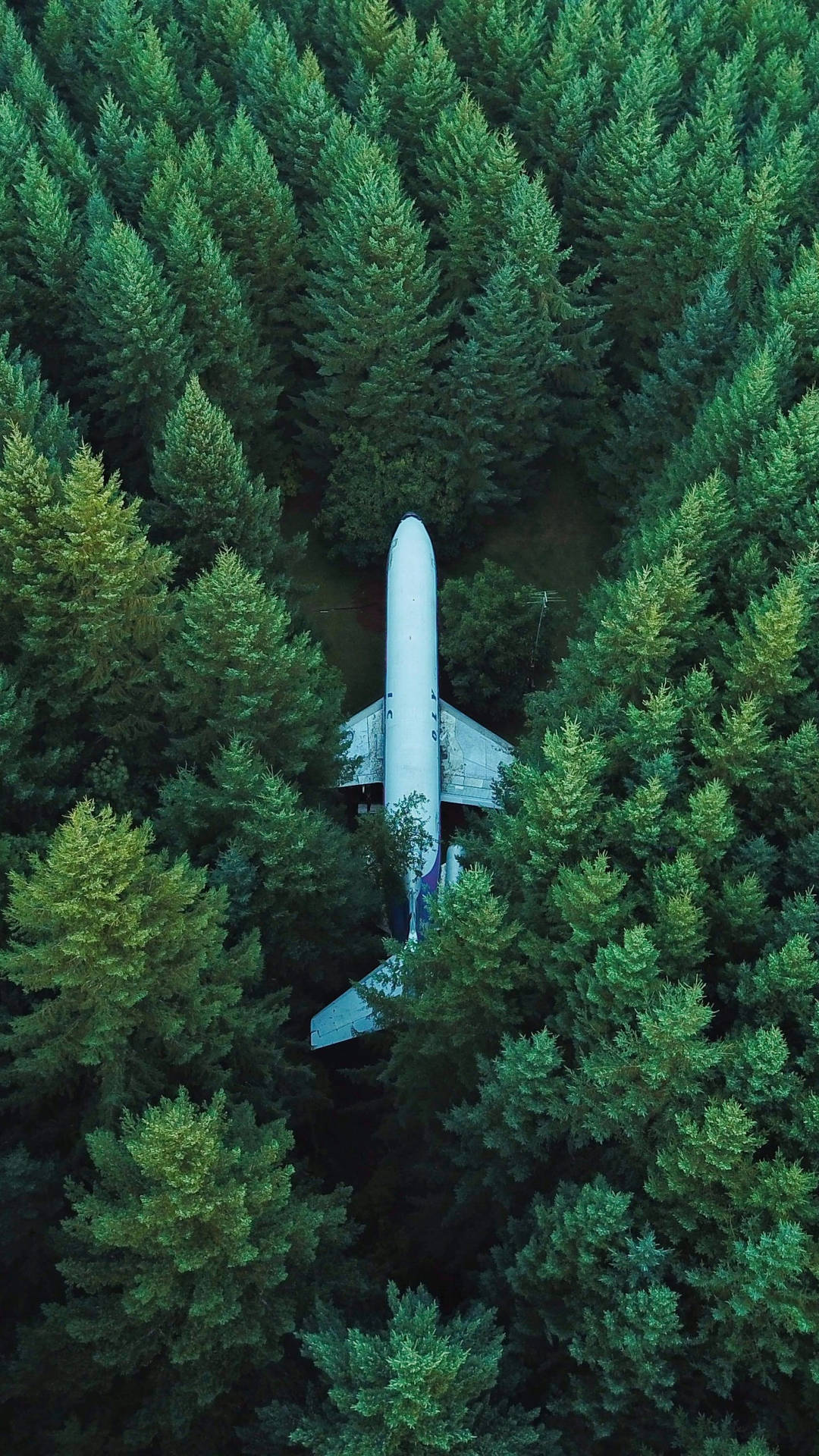 Samsung Galaxy S7 Edge Airplane In Forest
