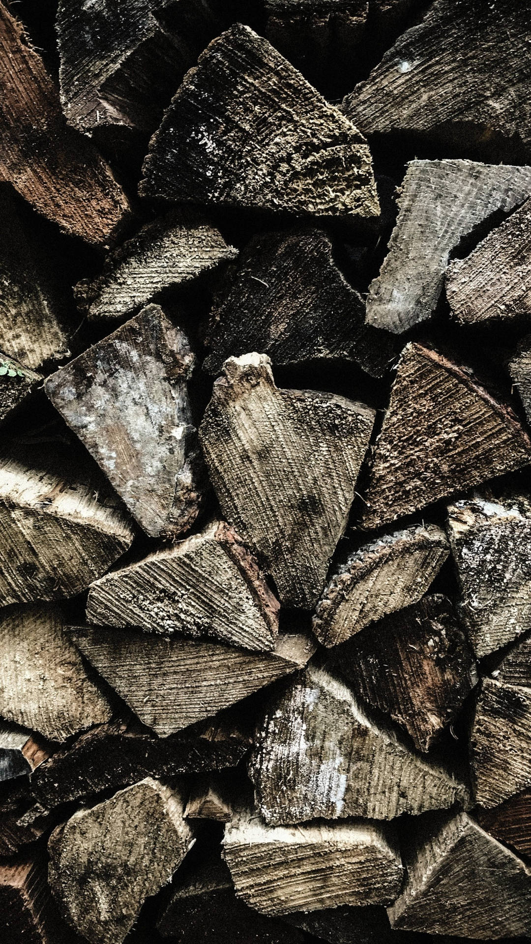 Samsung Galaxy S7 Edge Displaying Stunning Firewood Wallpaper Background