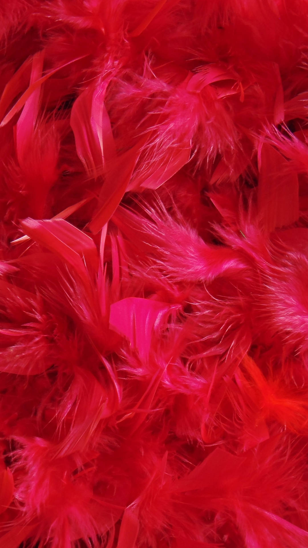 Samsung Galaxy S7 Edge Red Feathers