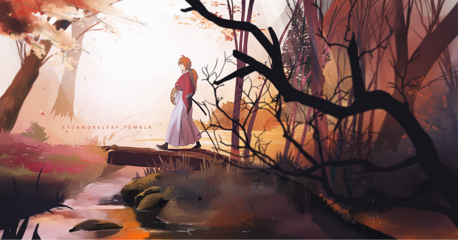 Samurai X Kenshin In River Background