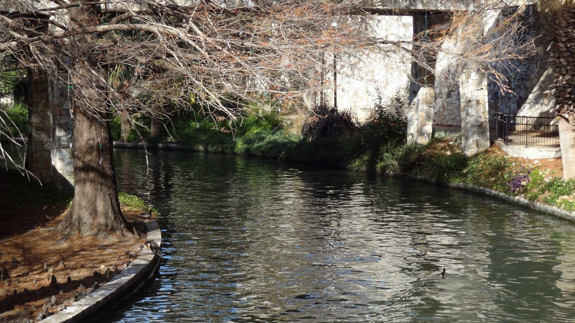 San Antonio River Walk With Trees Background