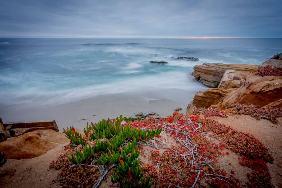 San Diego Beach Cliff Background