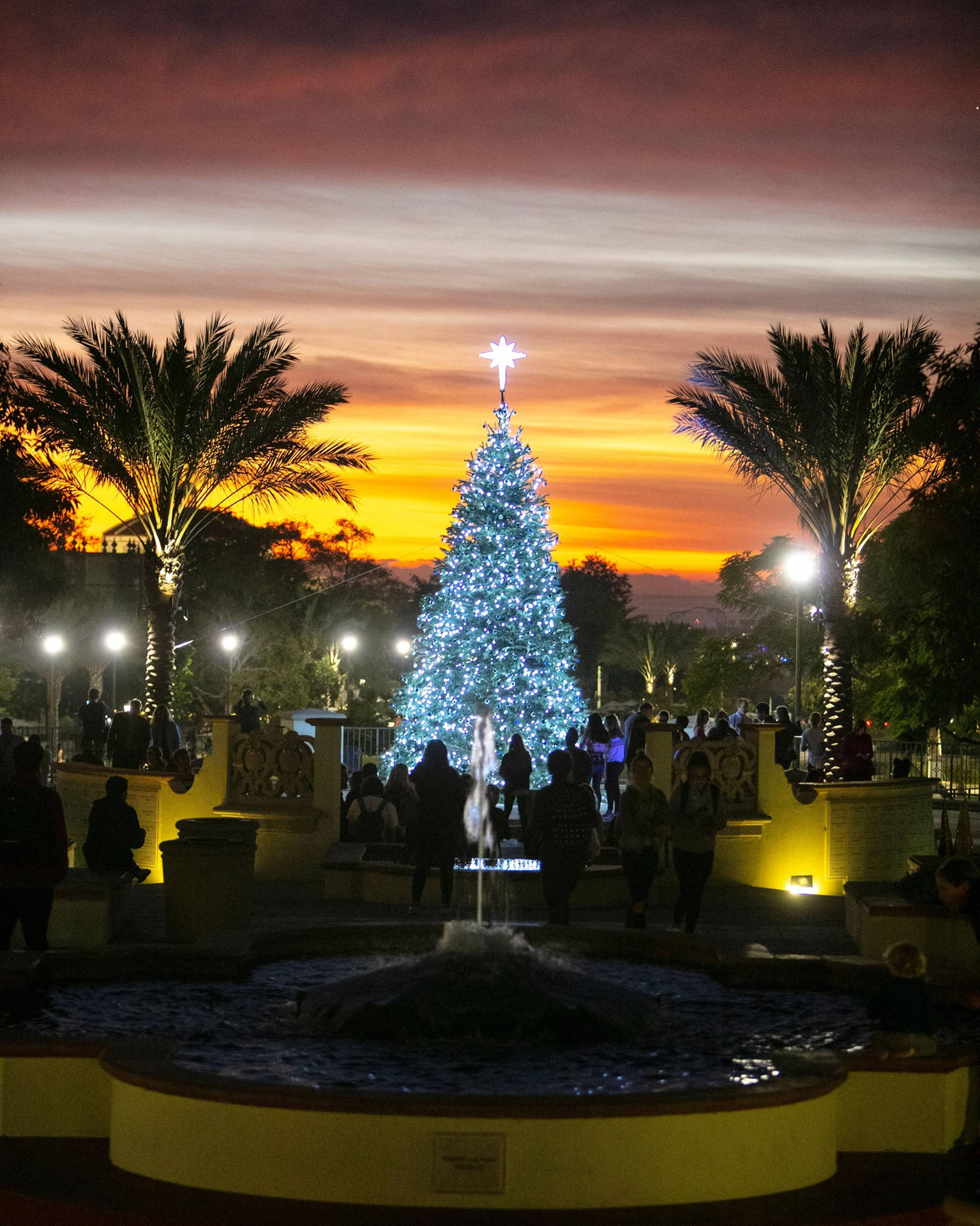 San Diego Christmas At Balboa Park Background