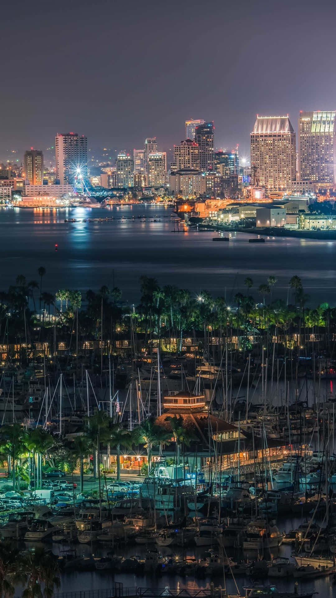 San Diego Dreams Background