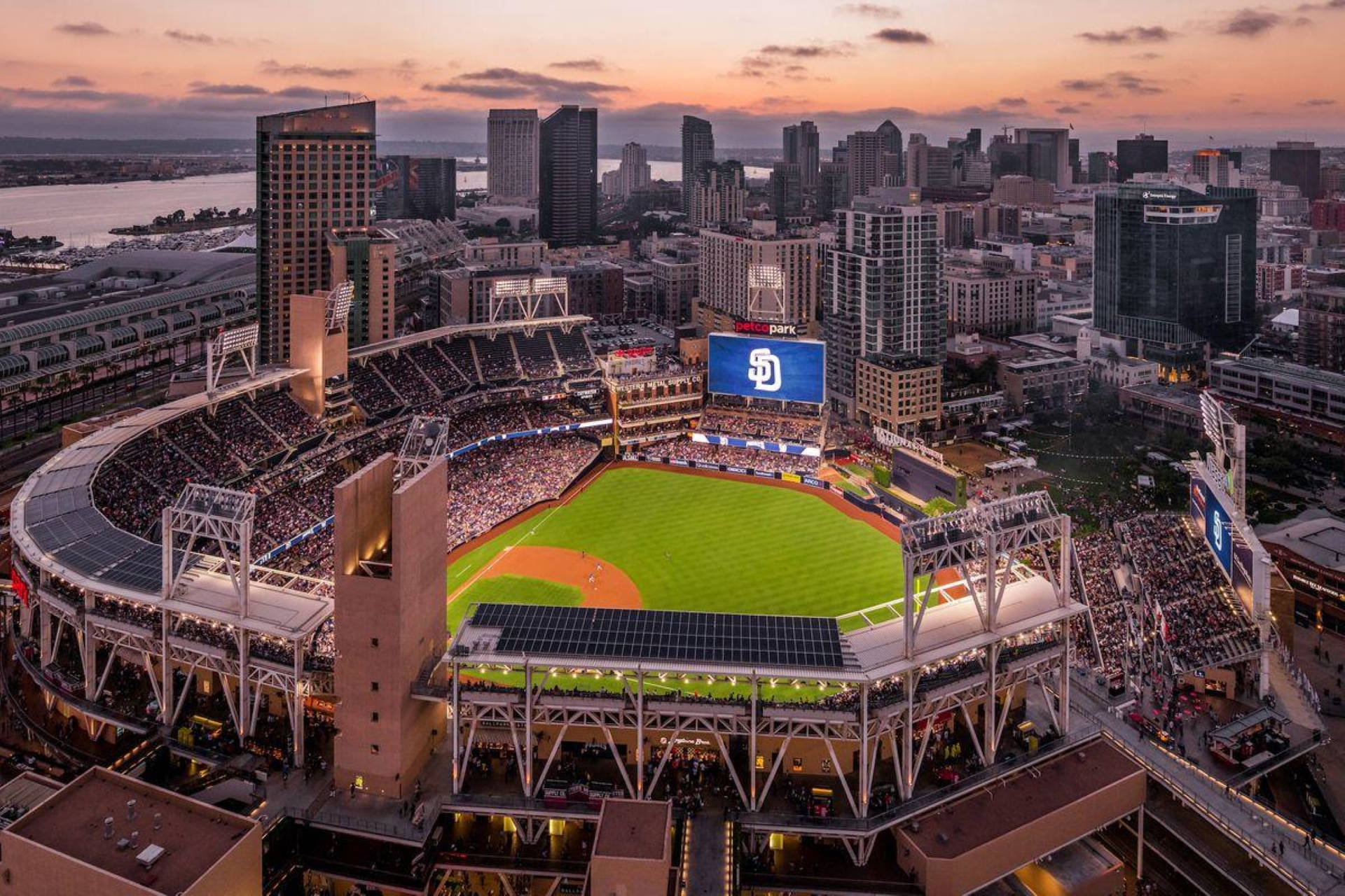 San Diego Padres Petco Park Background