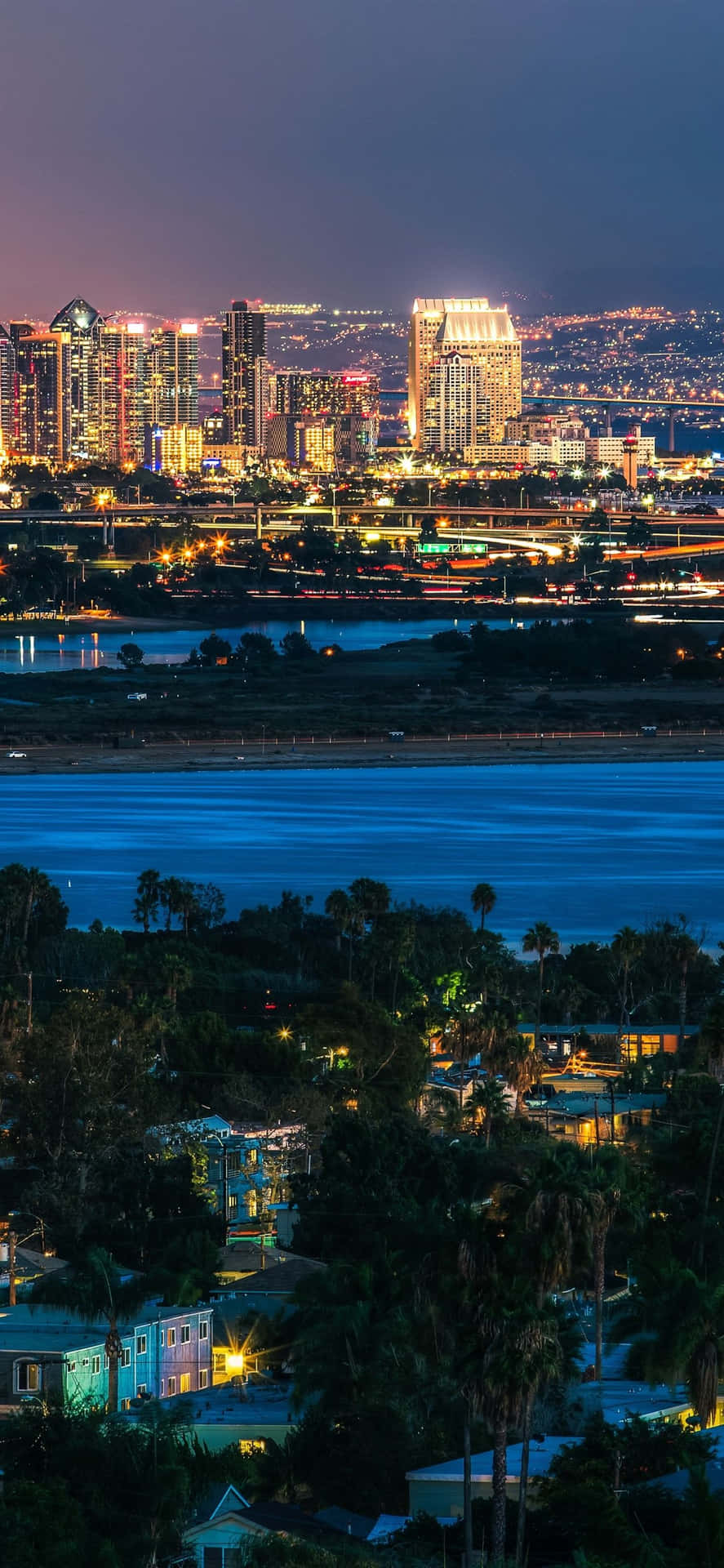 San Diego Skyline At Night Background