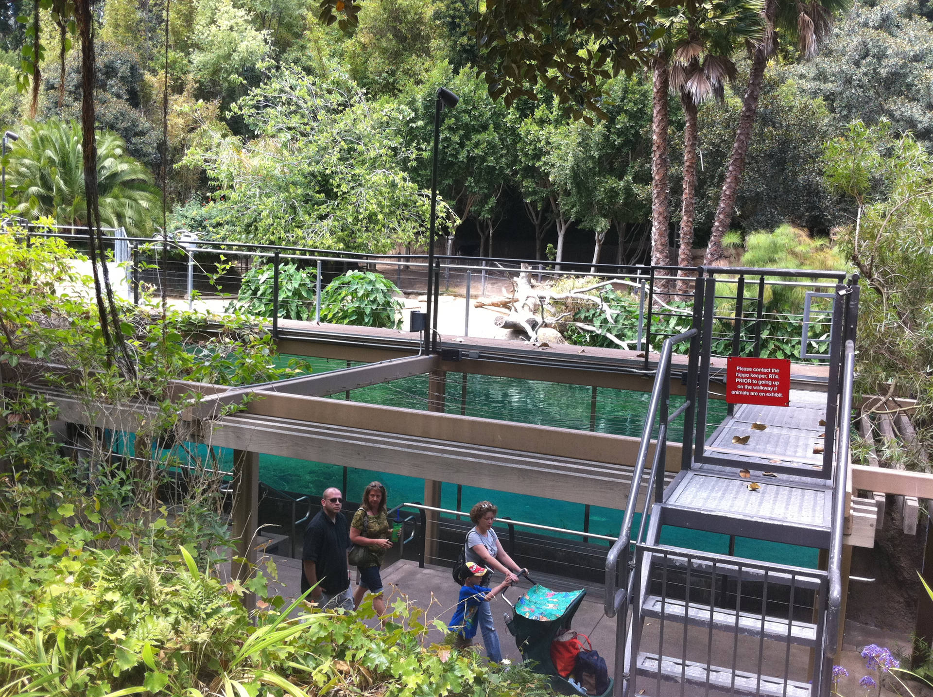 San Diego Zoo Aquarium Background