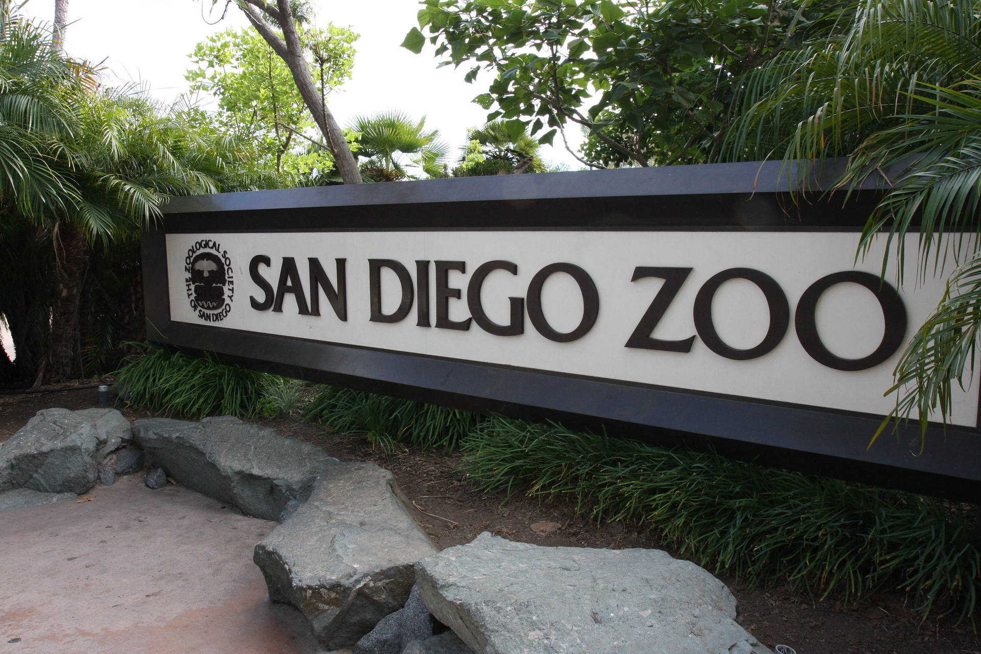 San Diego Zoo Black And White Sign Background