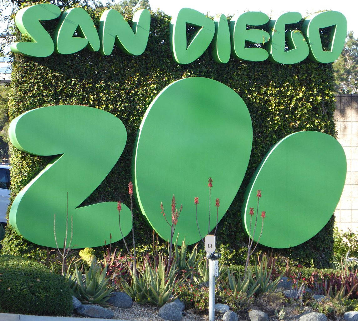 San Diego Zoo Simple Green Sign Background