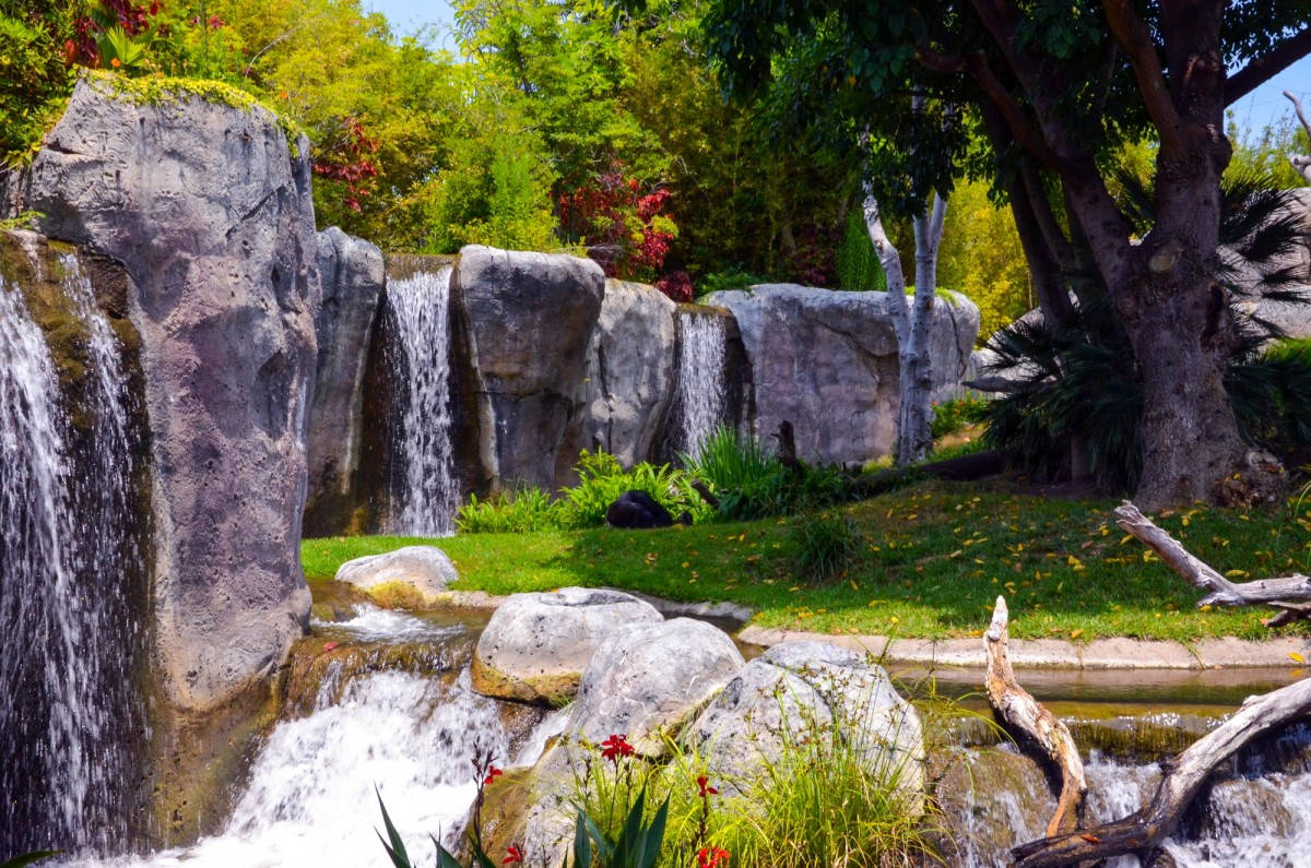 San Diego Zoo Waterfalls Background