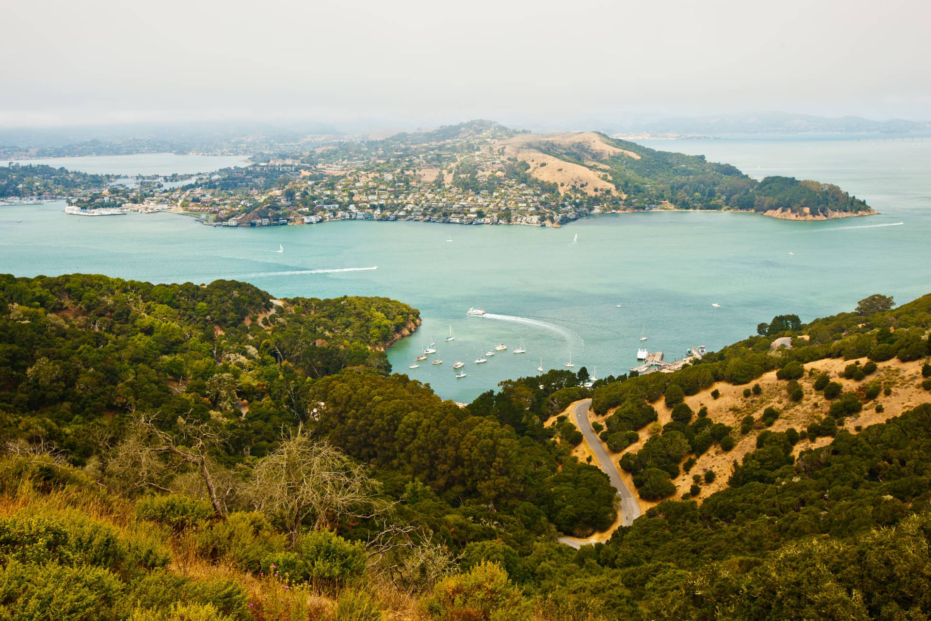 San Francisco Angel Island Background