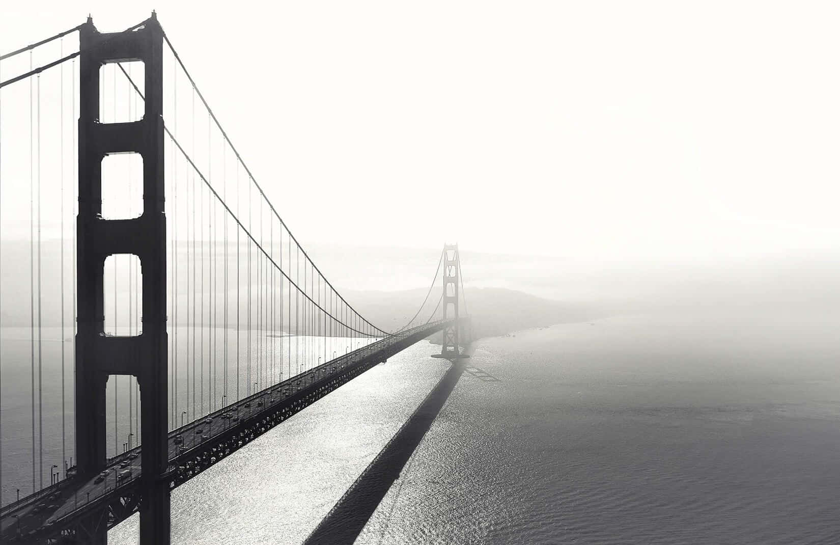 San Francisco Apartment Buildings In Black And White